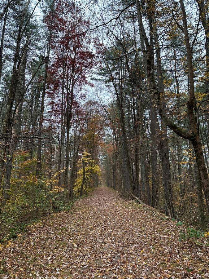 Escape To A Streamside Cabin In The Lower Catskills Wurtsboro Bagian luar foto